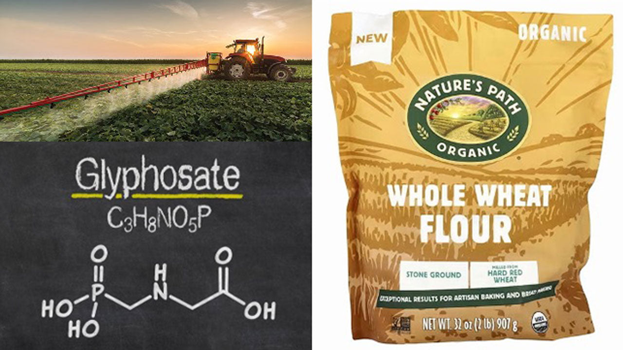 Organic Flour vs Conventional Flour